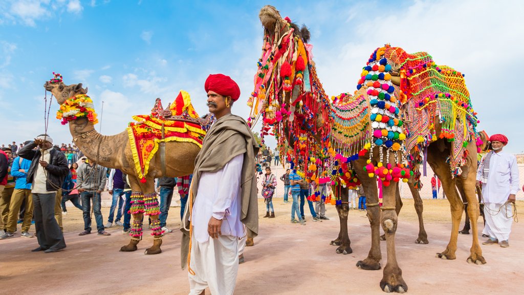 The beauty of Rajasthan is a mixture of rich heritage and languid modernity. As you explore towering forts, fairy-tale palaces
