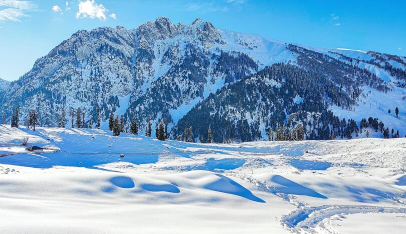 Sunny,Day,At,Sonamarg,Kashmir,With,Snow,Covered,Meadow,And