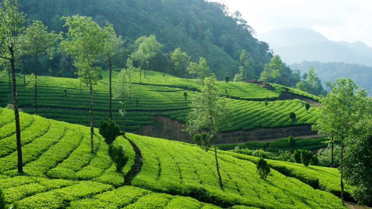 idukki-kerala